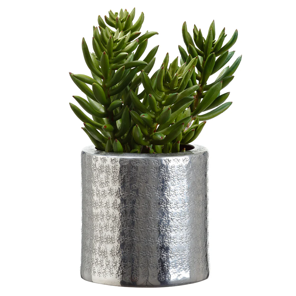 10.5" Artificial Senecio Succulent Plant w/Aluminum Pot -Green