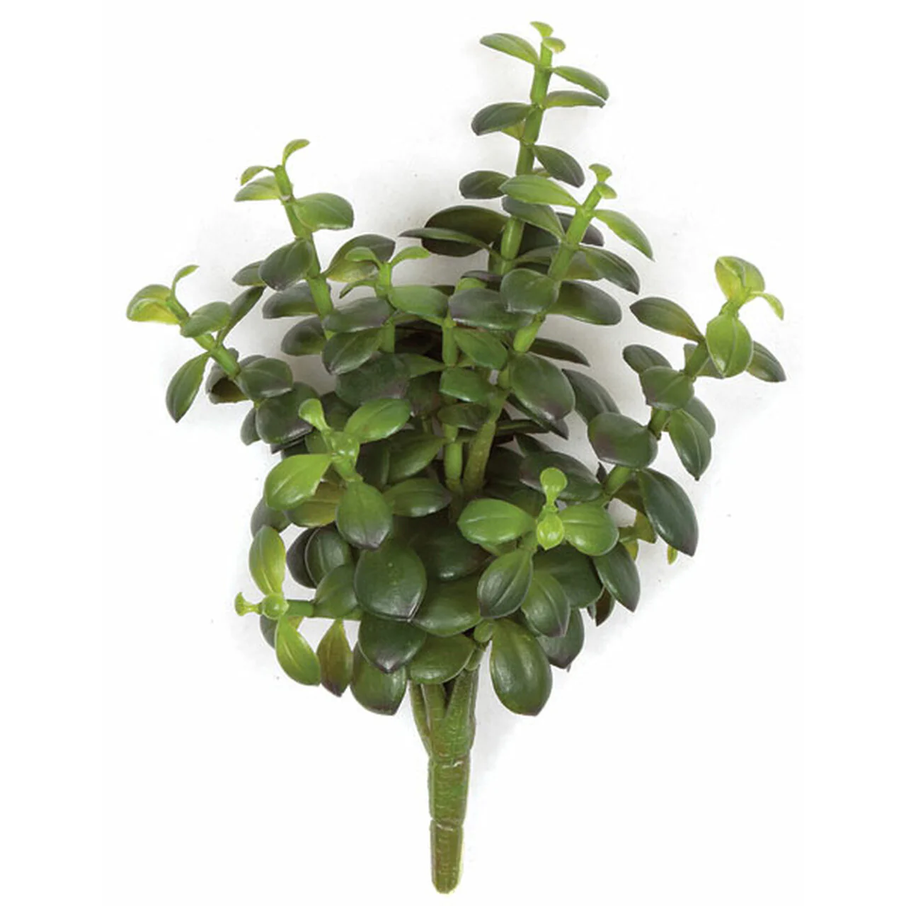 10.5" IFR Artificial Jade Plant Stem -Green/Red (Pack of 12)