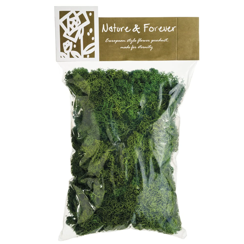 10.5" Preserved Assorted Reindeer Moss In Bag -Green (Pack of 6)