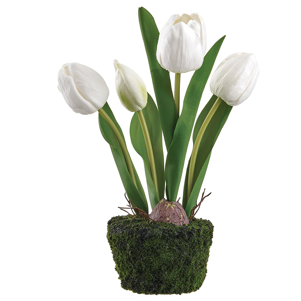 10.5" Tulip Silk Flower Arrangement w/Moss & Soil Ball -White (Pack of 6)