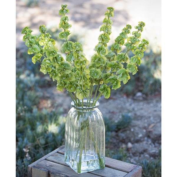 10.5"Hx5"W Square Tapered Glass Vase -Clear (Pack of 2) - Image 2
