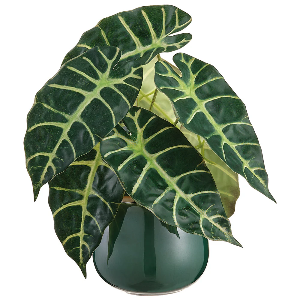 10" Alocasia Leaf Silk Plant w/Ceramic Vase -Green (Pack of 6)