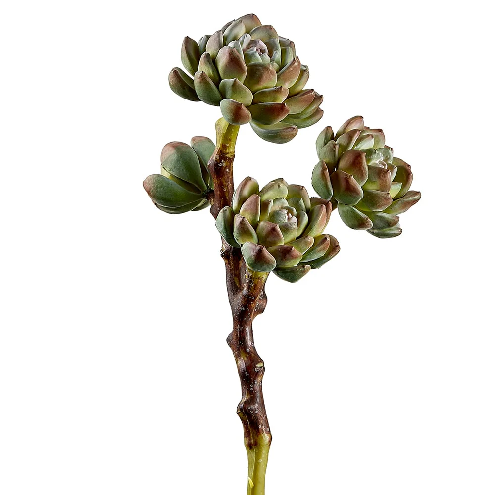 10" Artificial Hen And Chick Succulent Stem -Burgundy/Green (Pack of 6)