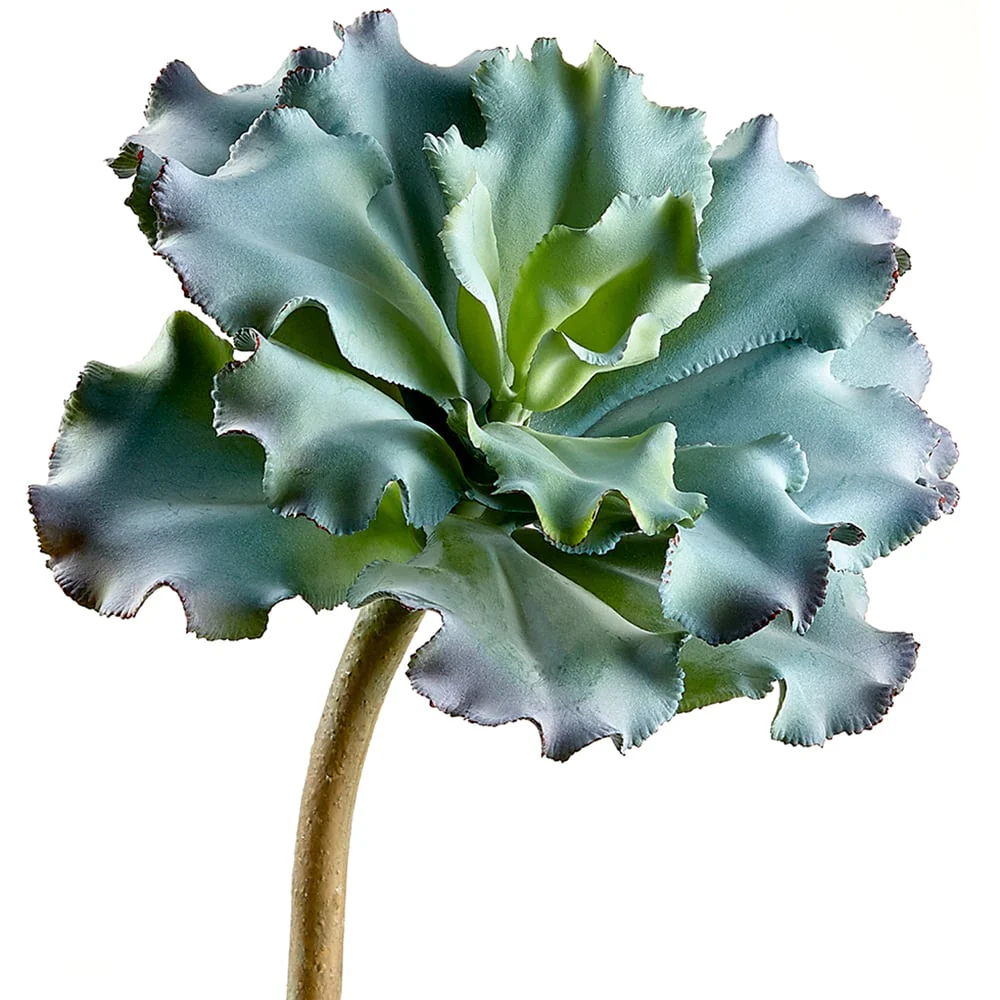 10" Artificial Ruffled Echeveria Stem Pick -Green/Burgundy (Pack of 6)