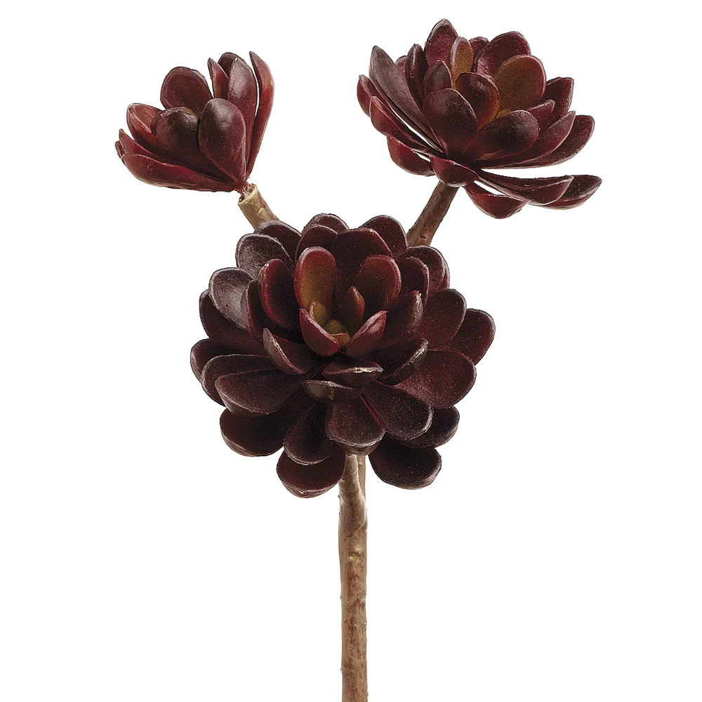 10" Hen And Chick Succulent Artificial Stem -Burgundy (Pack of 12)