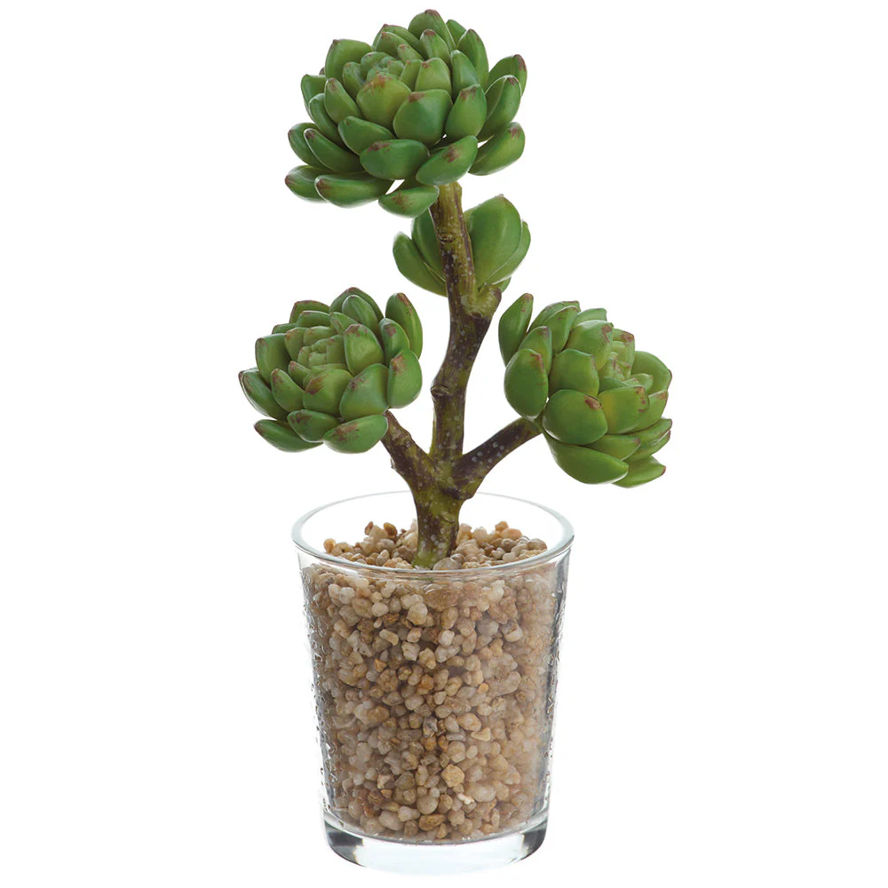 10" Hen & Chick Succulent Artificial Plant w/Glass Vase -Green (Pack of 4)