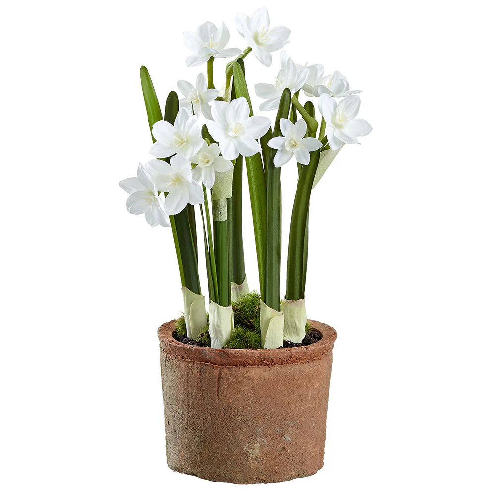 10" Narcissus Daffodil Silk Flower Arrangement w/Clay Pot -White (Pack of 9)