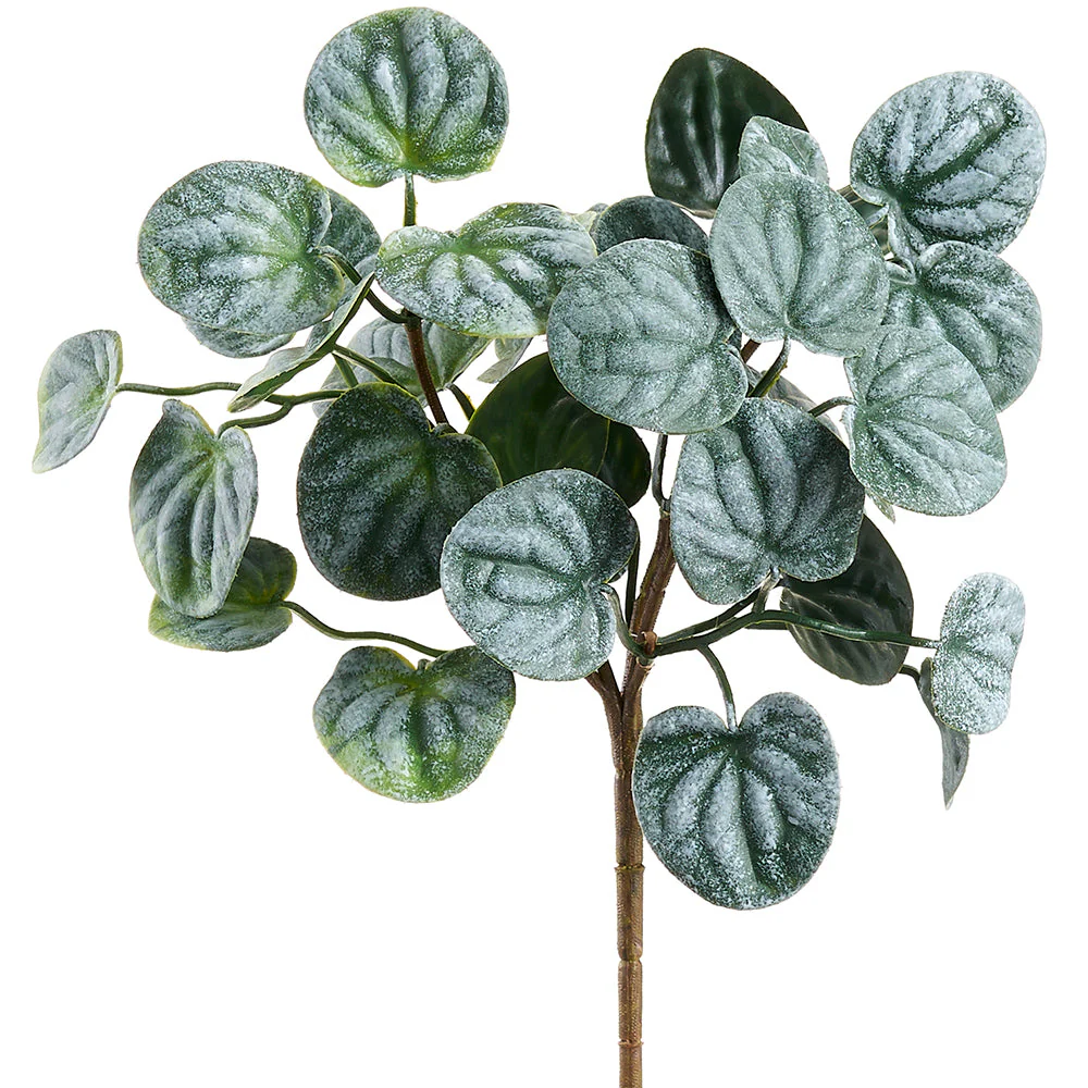 10" PE Soft-Touch Pepperomia Artificial Plant -Green/Gray (Pack of 24)