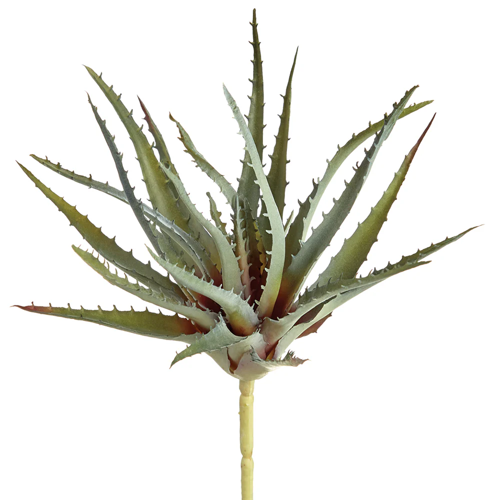 10" Real Touch Artificial Aloe Stem Pick -Green/Gray (Pack of 12)