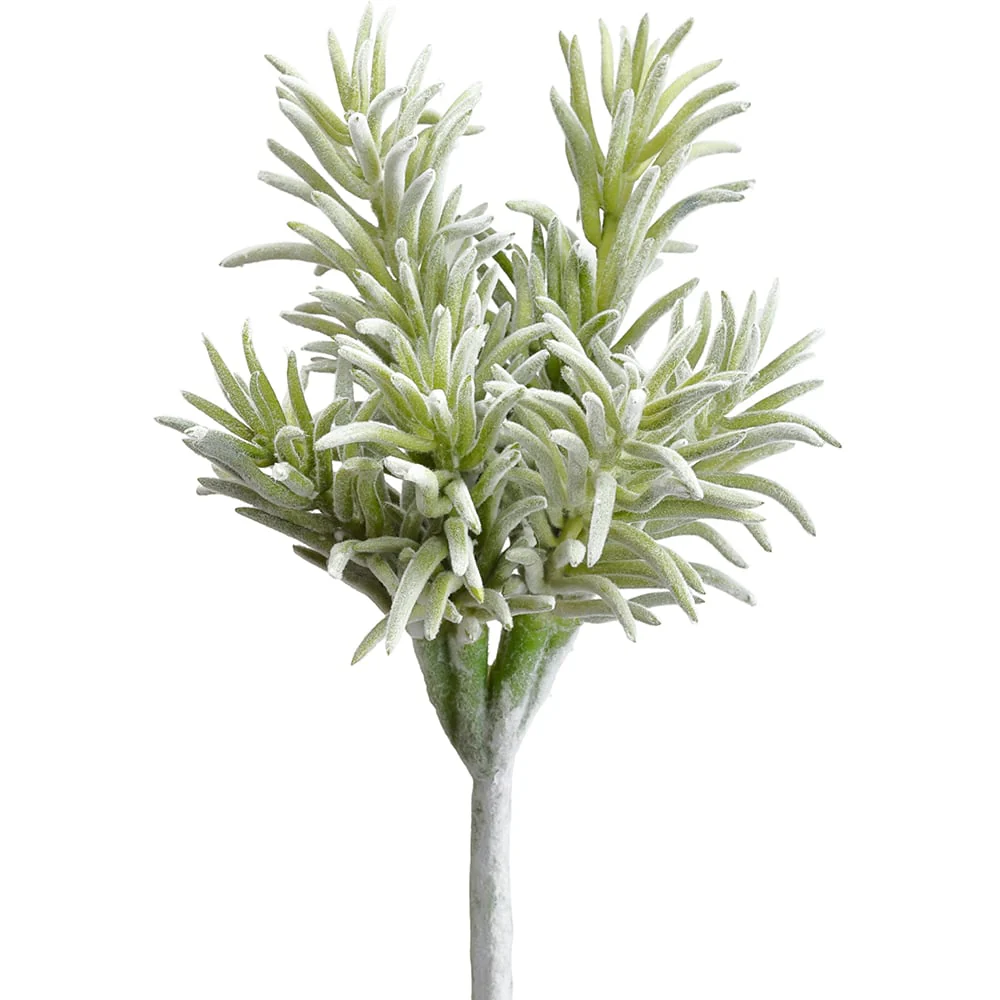 10" Real Touch Artificial Senecio Succulent Stem Pick -Frosted Green (Pack of 12)