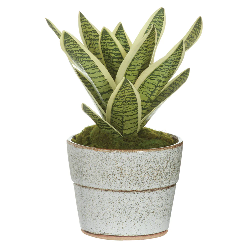 10" Sansevieria Snake Artificial Plant w/Ceramic Pot -Green/Variegated