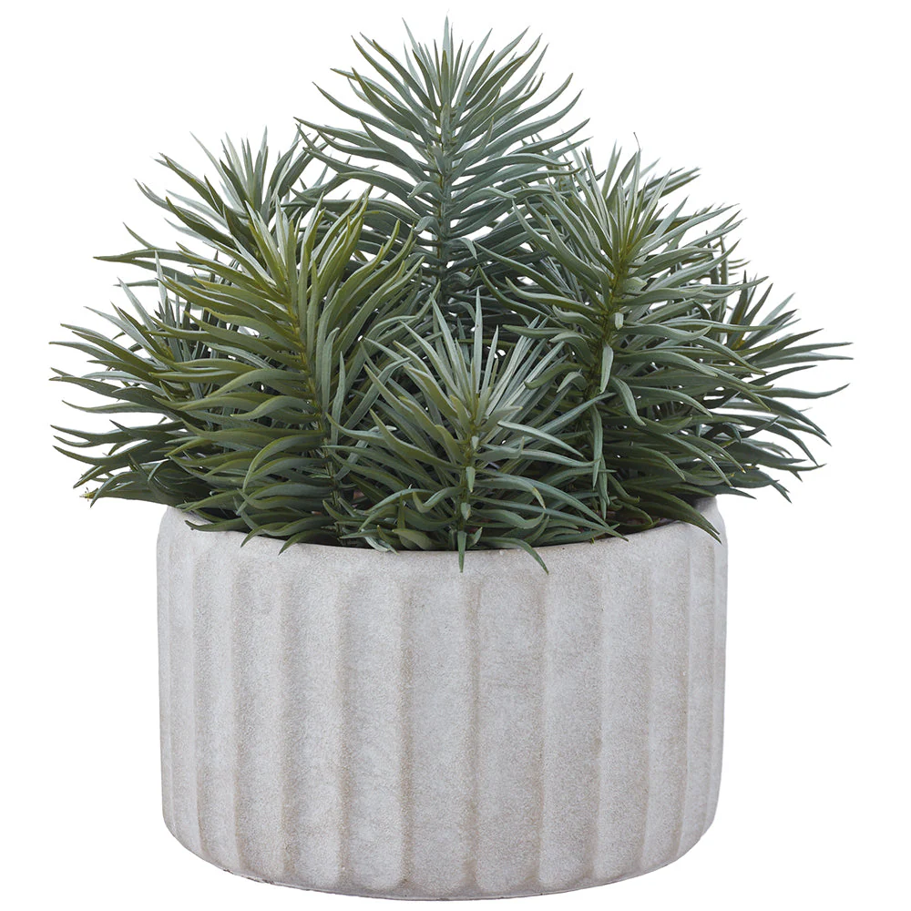 10" Senecio Artificial Plant w/Cement Pot -Green/Gray (Pack of 2)