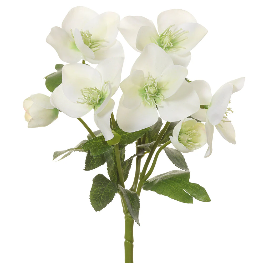 10" Silk Helleborus Flower Bush -Cream/Green (Pack of 12)