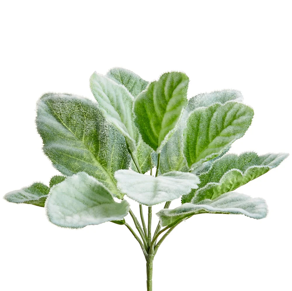 10" Silk Lamb's Ear Leaf Plant -Green/Gray (Pack of 12)