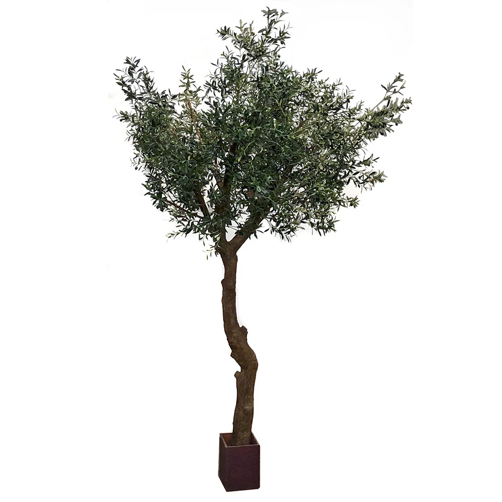 10' Silk Olive Tree w/Wood Pot -Green