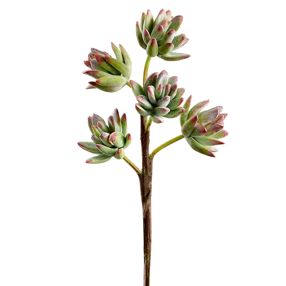 10" Soft-Touch Artificial Sedum Stem Pick -Green/Pink (Pack of 12)