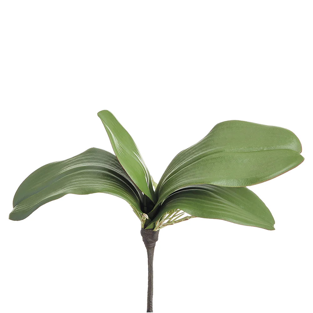 10" Soft-Touch Hand-Wrapped Phalaenopsis Orchid Leaf Silk Plant Stem -Green (Pack of 12)