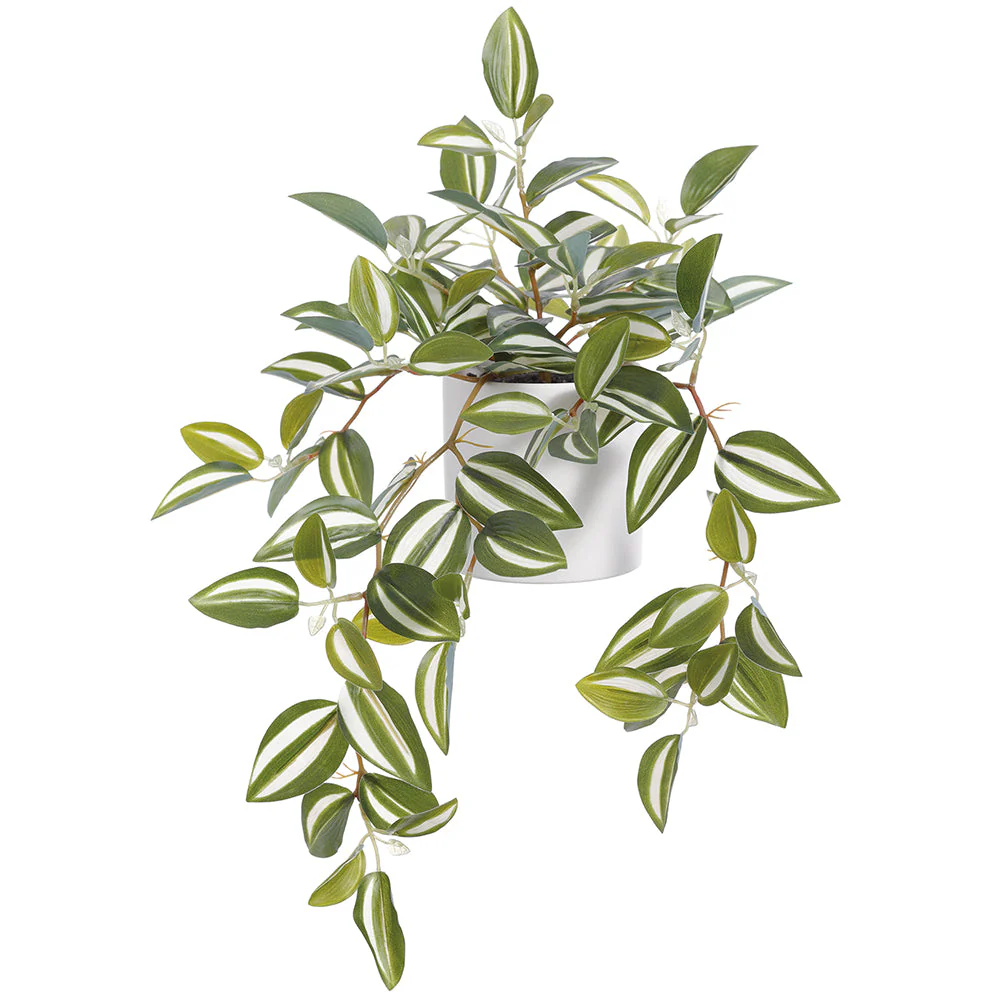 10" Wandering Jew Silk Hanging Plant w/Terra Cotta Pot -Green/Cream (Pack of 4)