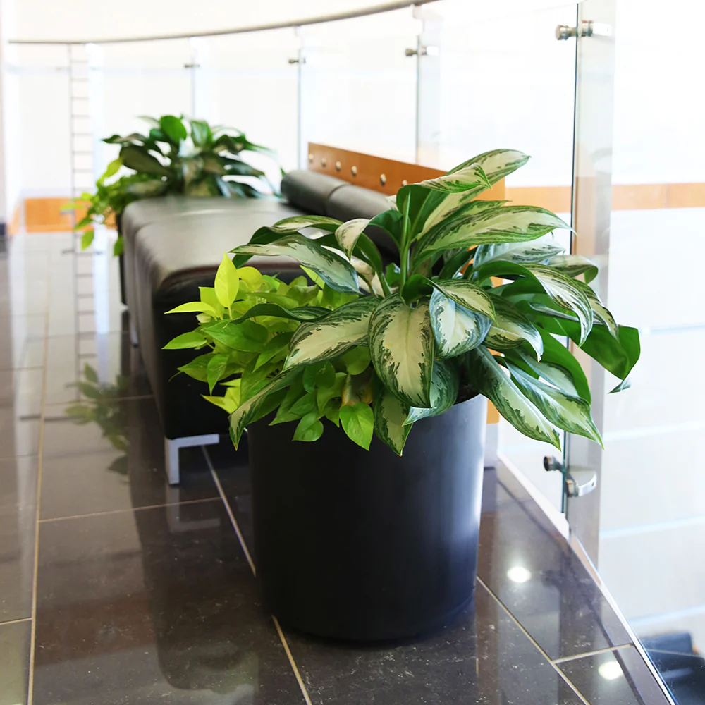 10"Hx10.5"W to 18"Hx20"W Vista Metallic Floor Round Planter - Image 3