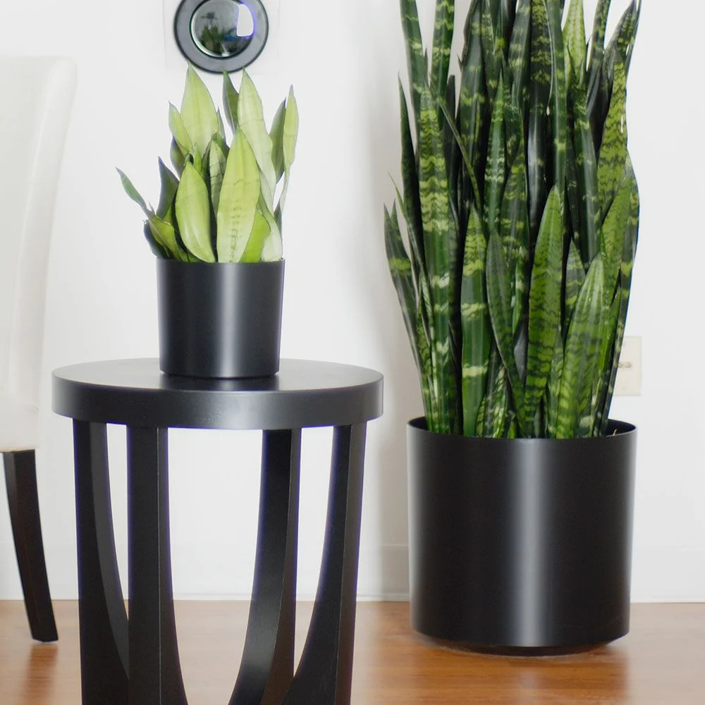 10"Hx10.5"W to 18"Hx20"W Vista Metallic Floor Round Planter - Image 5