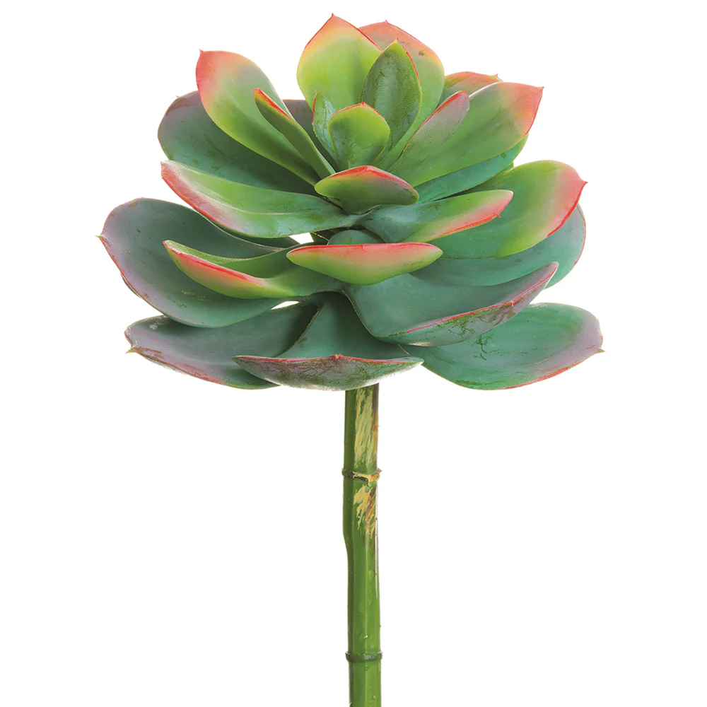10"Hx8"W Artificial Echeveria Stem Pick -Green/Pink (Pack of 6)