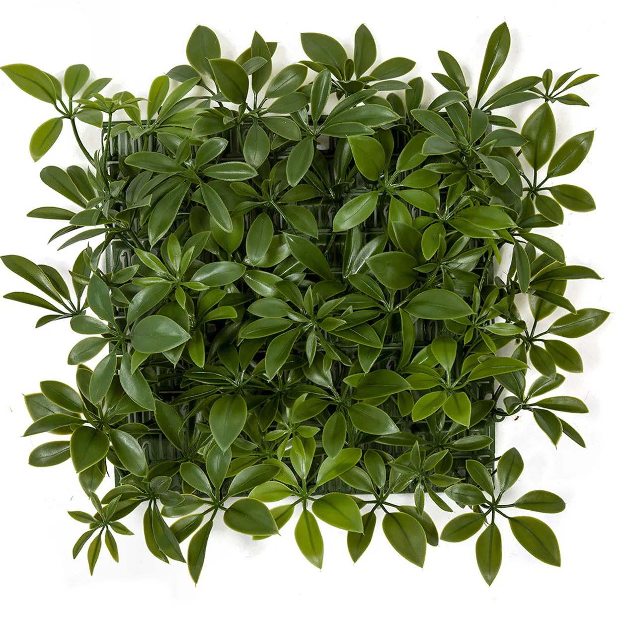 10"x10" Outdoor UV-Resistant Artificial Schefflera Mat -Green (Pack of 6)