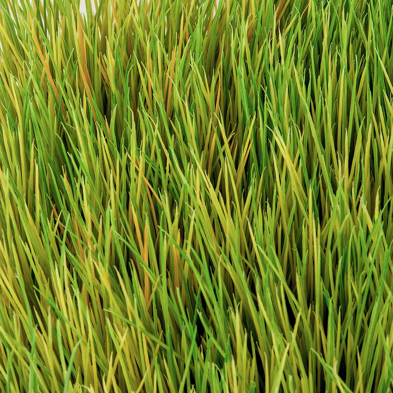 10"x10"x6" Mexican Grass Artificial Mat -Green/Tan (Pack of 6) - Image 4