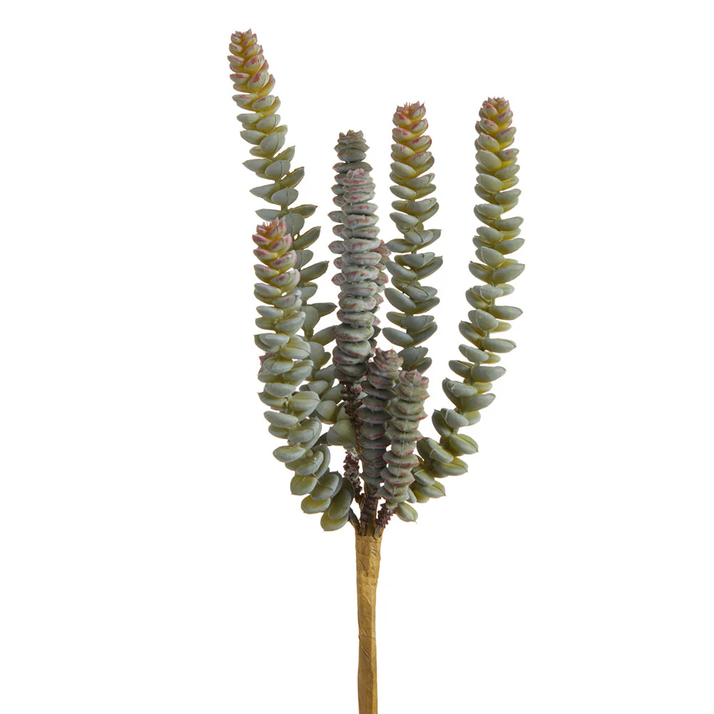 11.5" Worm Sedum Succulent Artificial Stem Pick -Green/Gray (Pack of 12)