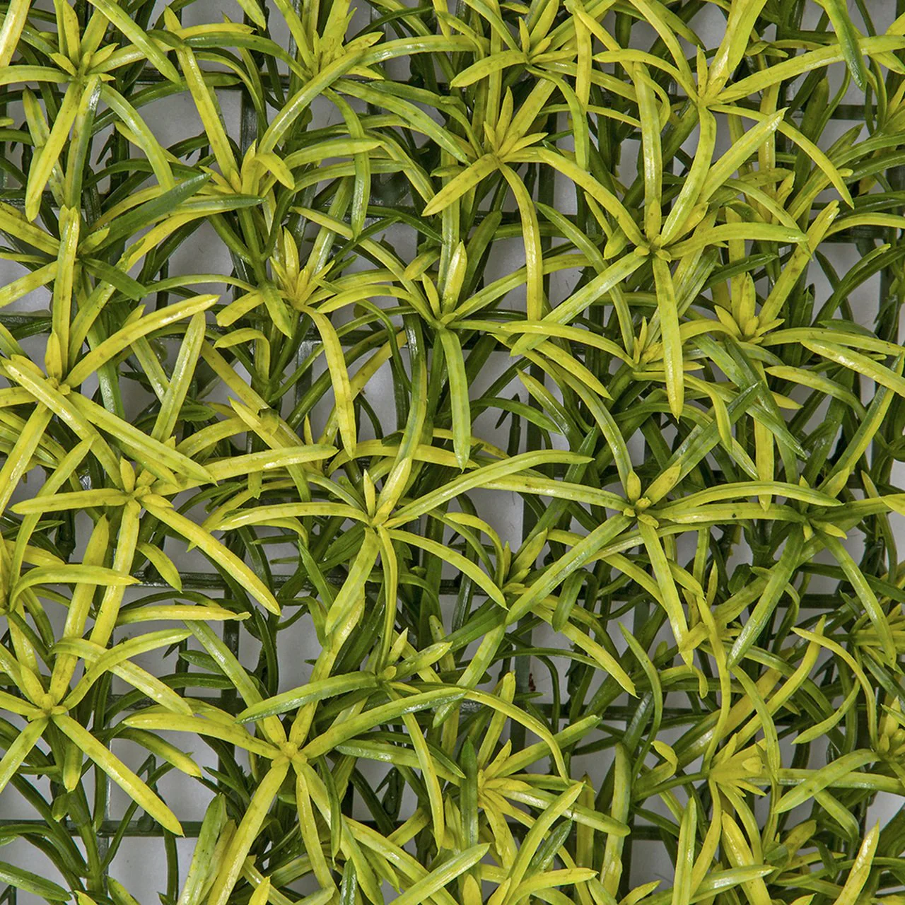 11.5"x11.5" Artificial Podocarpus Leaf Mat -Yellow/Green (Pack of 6) - Image 2
