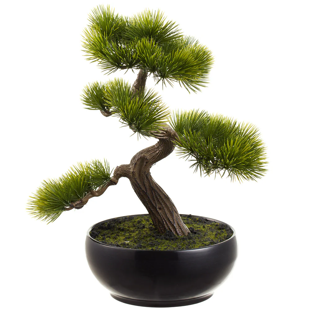 11" Black Pine Silk Bonsai Plant w/Plastic Pot -Green (Pack of 4)