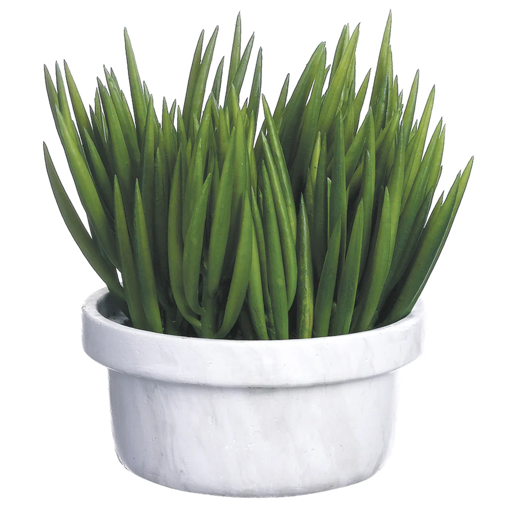 11" Senecio Artificial Plant w/Terra Cotta Pot -Green