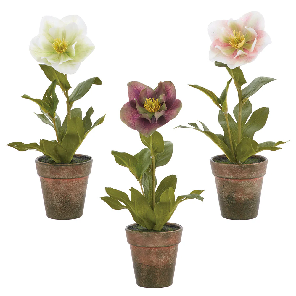 11" Set Of Helleborus Silk Flower Arrangements w/Plastic Pot -Mixed Colors (Pack of 2)