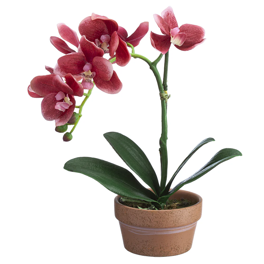 11" Silk Phalaenopsis Orchid Flower Arrangement w/Terra Cotta Pot -Pink (Pack of 4)
