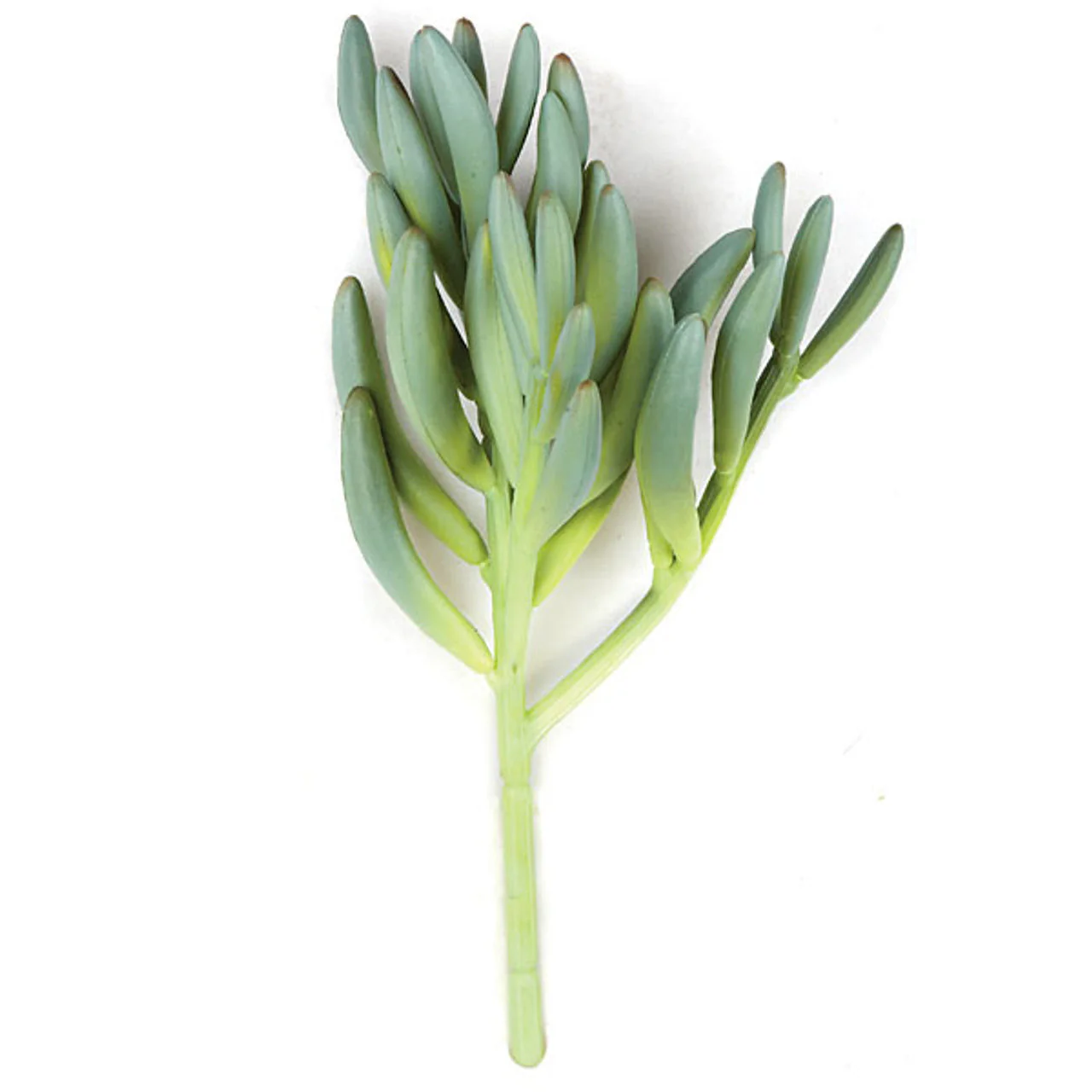 11" Soft-Touch Aeonium Artificial Stem -Green/Gray (Pack of 12)
