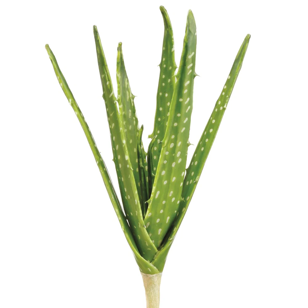 12.5" Real Touch Aloe Artificial Stem Pick -Green (Pack of 12)