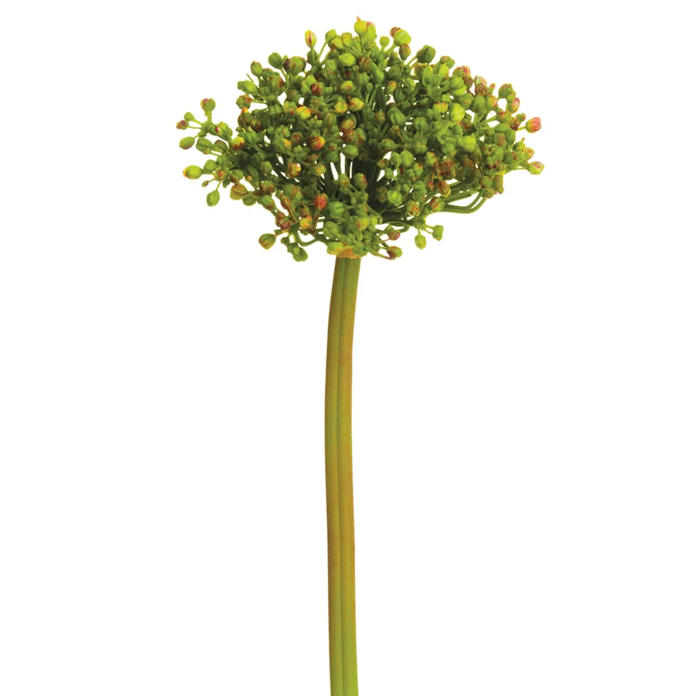 12" Allium Bud Silk Flower Stem -2 Tone Green (Pack of 12)