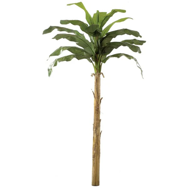 12' Banana Silk Palm Tree -Green