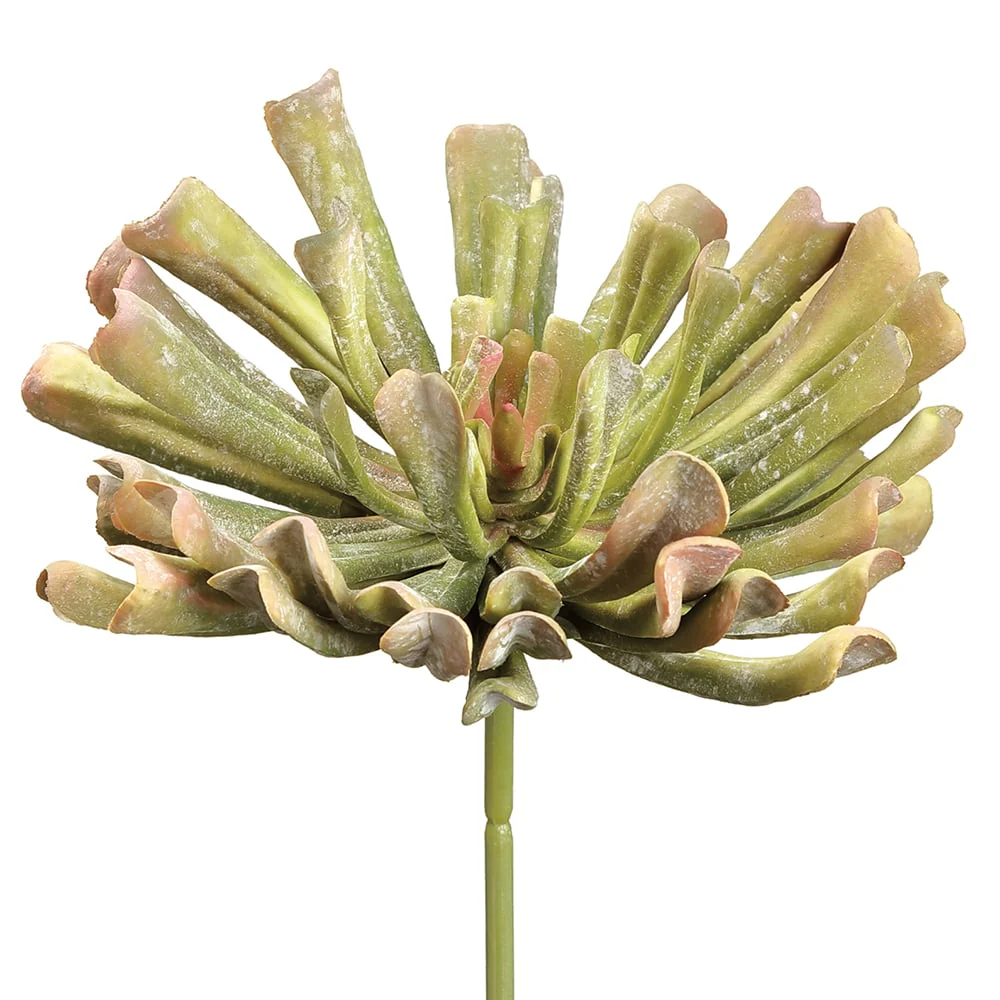 12" Real Touch Artificial Aeonium Stem Pick -Green/Mauve (Pack of 6)
