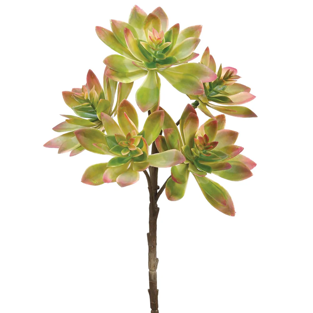 12" Real Touch Artificial Echeveria Stem Pick -Green/Pink (Pack of 12)