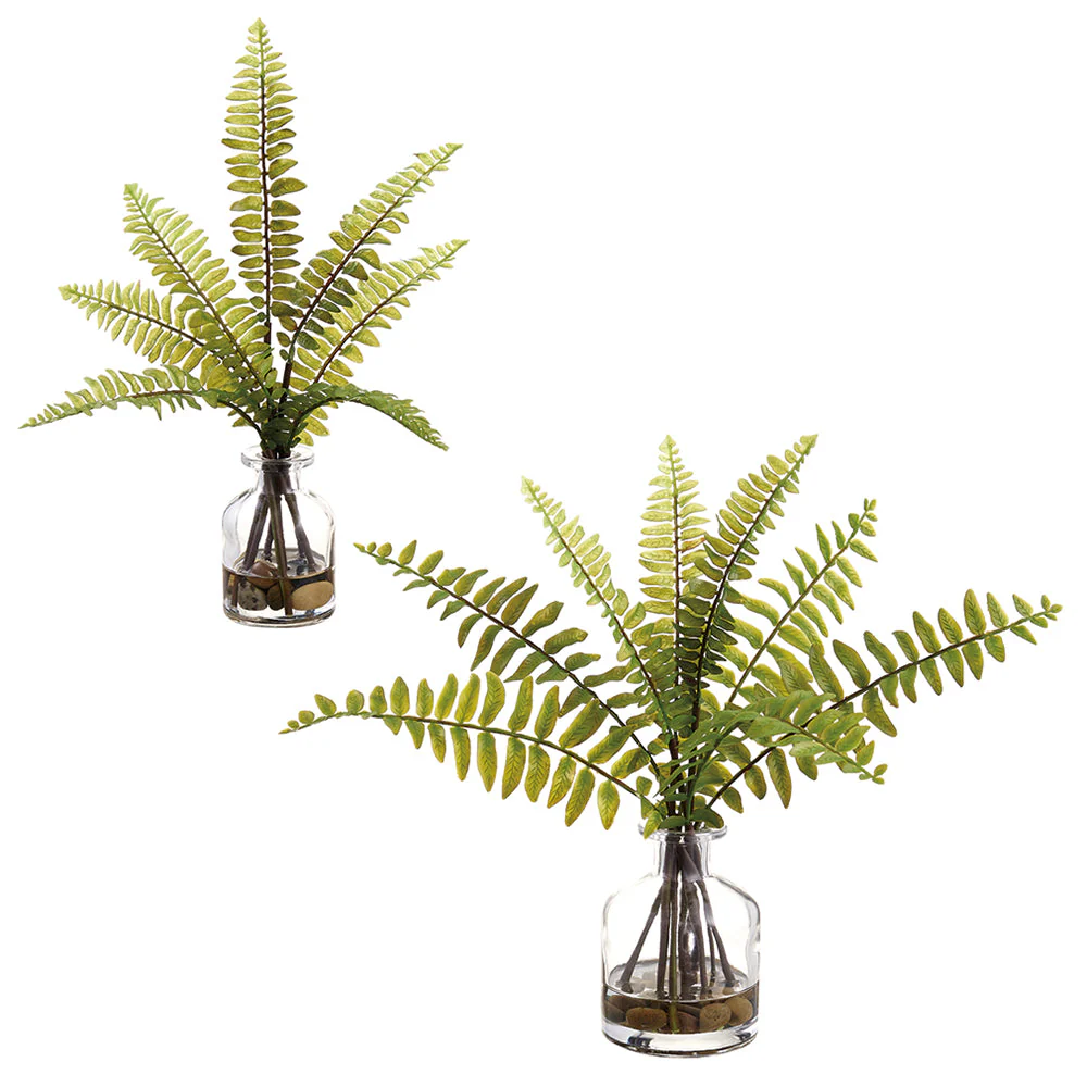 12" Set Of Artificial Boston Fern Plants w/Glass Vases -Green (Pack of 6)