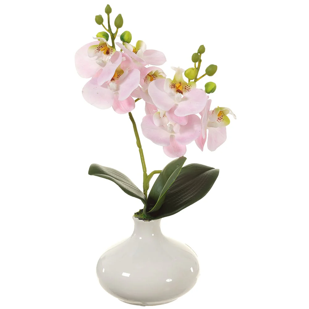 12" Silk Phalaenopsis Orchid Flower Arrangement w/Ceramic Vase -Pink (Pack of 2)