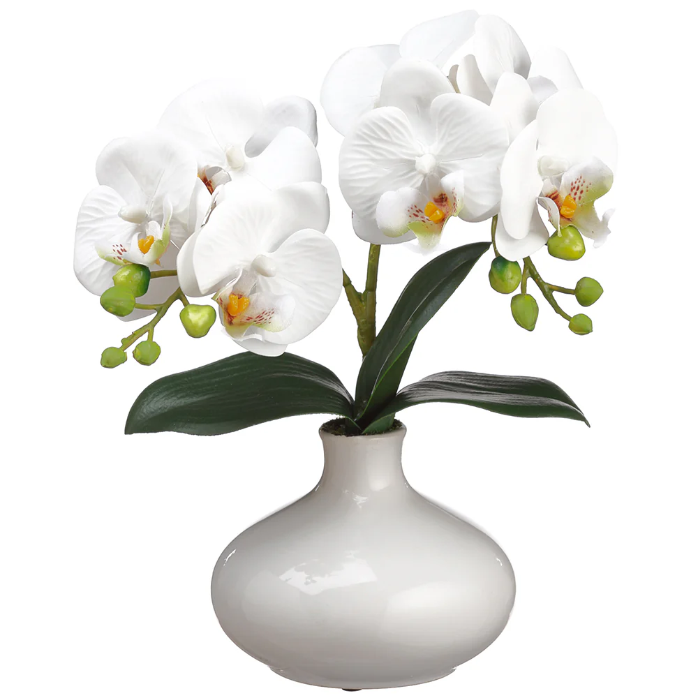 12" Silk Phalaenopsis Orchid Flower Arrangement w/Ceramic Vase -White (Pack of 2)