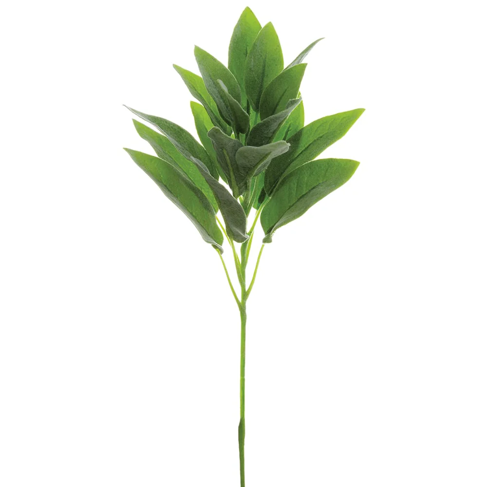 12" Silk Sage Herb Stem Pick -Green/Gray (Pack of 36)