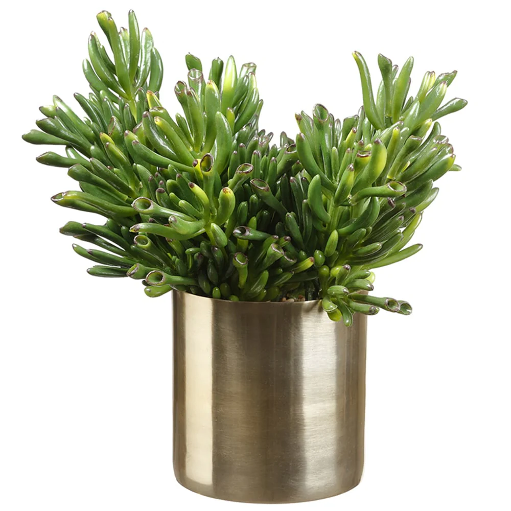 12"Hx11"W Artificial Coral Succulent Plant w/Cylinder Pot -Green