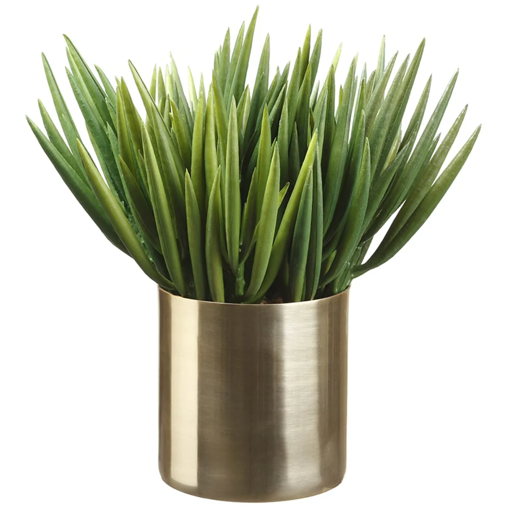 12"Hx11"W Artificial Senecio Succulent Plant w/Cylinder Pot -Green