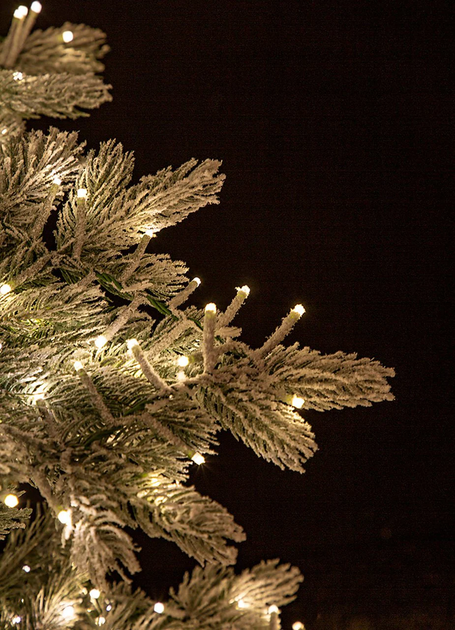 12'Hx82"W PE Frosted Highland Spruce Cluster Artificial Christmas Tree, Micro LED Pre-Lit -White/Green - Image 2