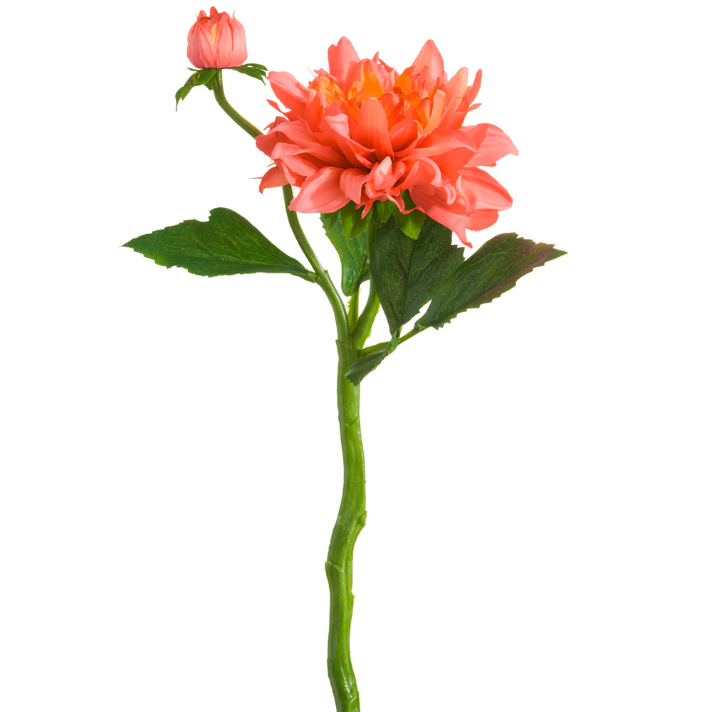 13.5" Silk Dahlia Flower Stem -Watermelon (Pack of 12)