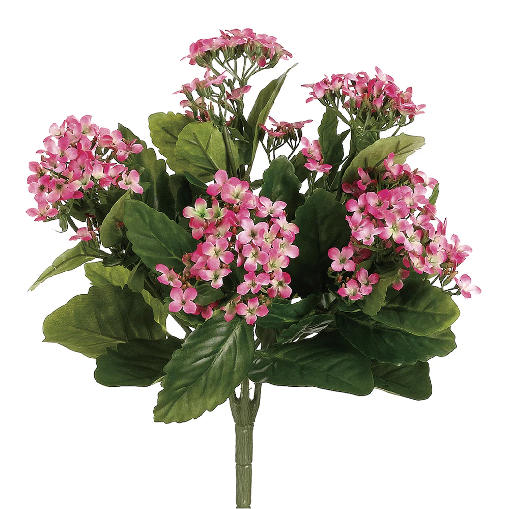 13.5" Silk Kalanchoe Flower Bush -2 Tone Pink (Pack of 6)