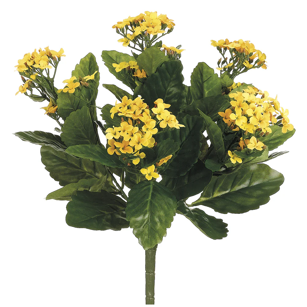 13.5" Silk Kalanchoe Flower Bush -2 Tone Yellow (Pack of 6)