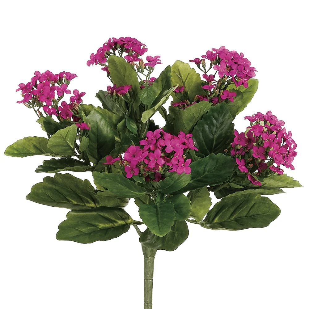 13.5" Silk Kalanchoe Flower Bush -Fuchsia (Pack of 6)